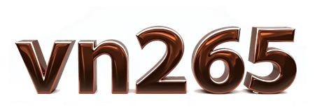 vn256 logo